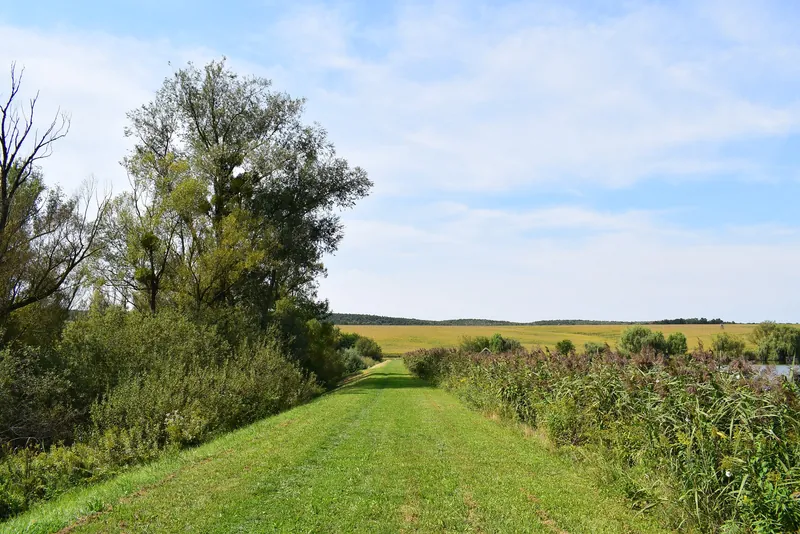 Une image montrant un chemin en herbe entre des arbustes et un dénivelé boisé