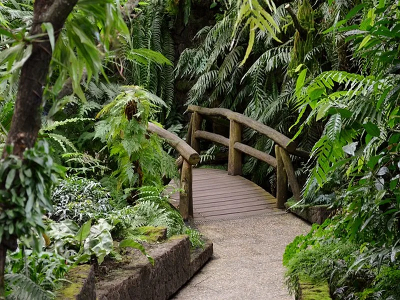 Image d'un pont dans un jardin 