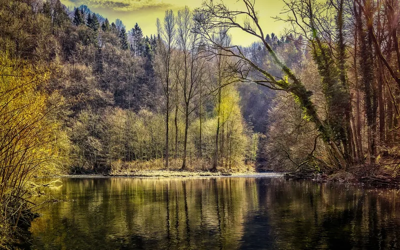 Image d'un lac splendide avec des rives boisées dans un paysage escapé